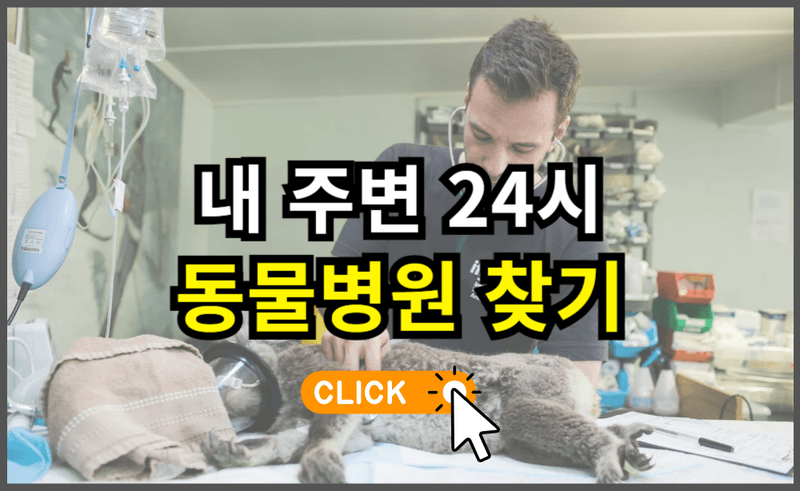 24시 동물병원 찾기 | 응급진료 가능한 곳